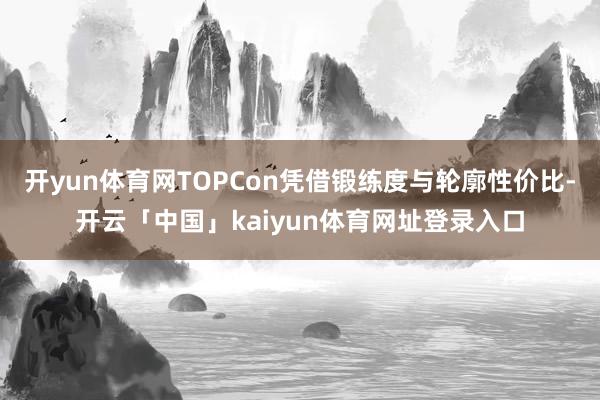 开yun体育网TOPCon凭借锻练度与轮廓性价比-开云「中国」kaiyun体育网址登录入口